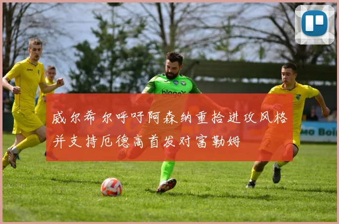 威尔希尔呼吁阿森纳重拾进攻风格并支持厄德高首发对富勒姆